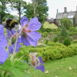 Breathing Space Retreat (17th-19th July)