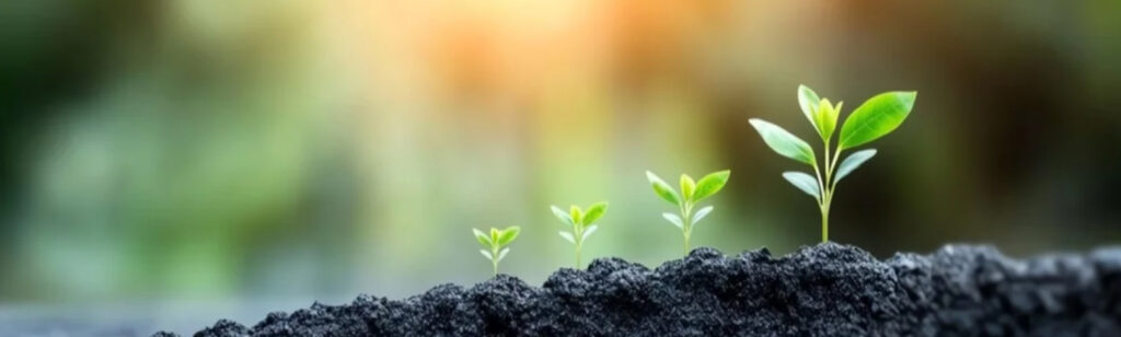 Seedlings